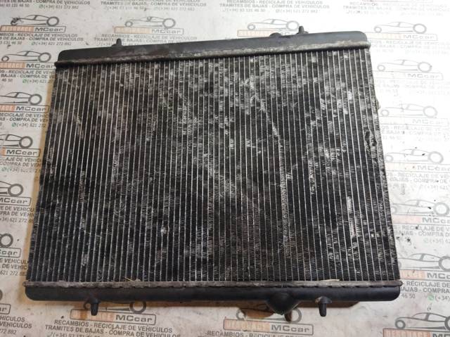 9646528480 Peugeot/Citroen