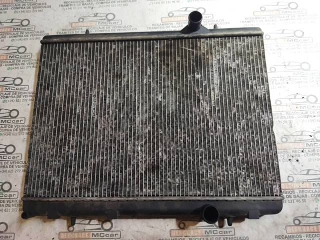 9646528480 Peugeot/Citroen