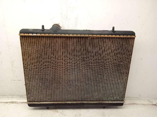 9646528480 Peugeot/Citroen