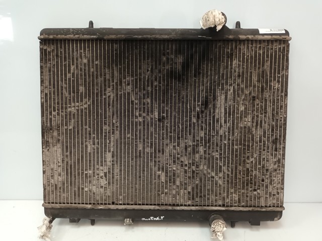 9646528480 Peugeot/Citroen