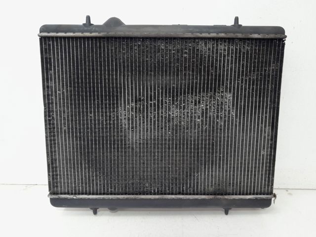 9646528480 Peugeot/Citroen