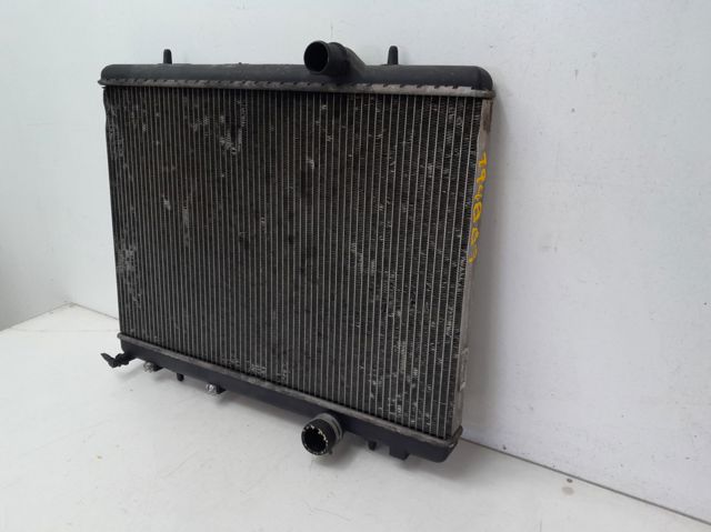 9646528480 Peugeot/Citroen