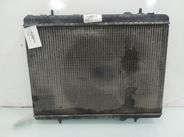 9646528480 Peugeot/Citroen