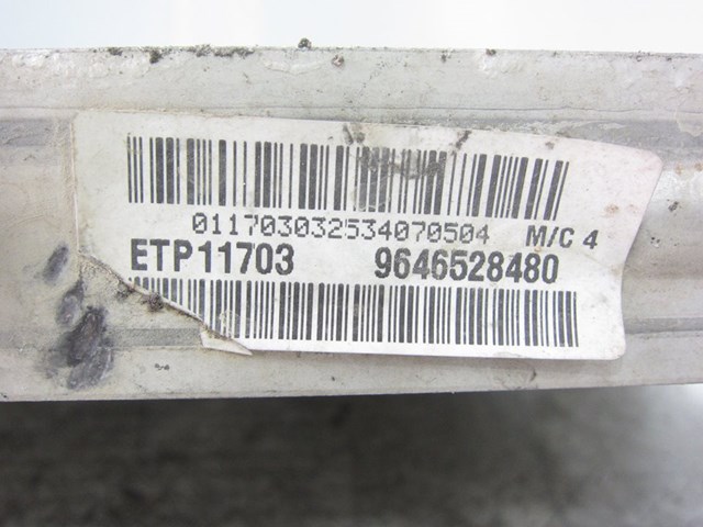 9646528480 Peugeot/Citroen