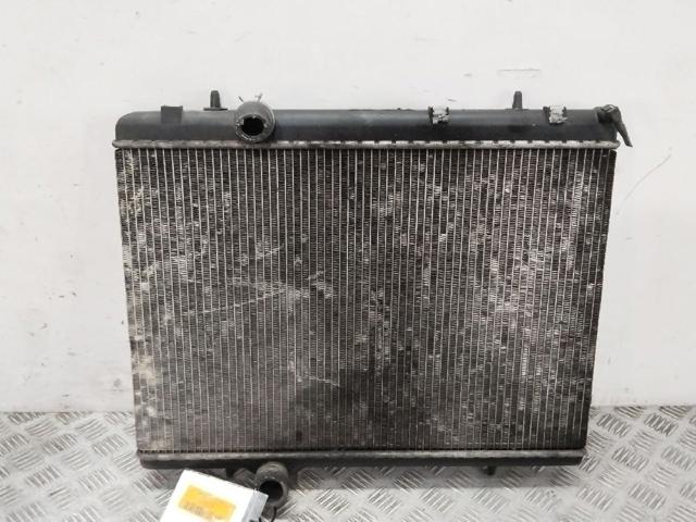 9646528480 Peugeot/Citroen