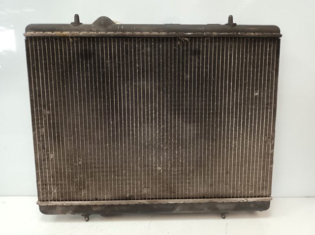 9646528480 Peugeot/Citroen