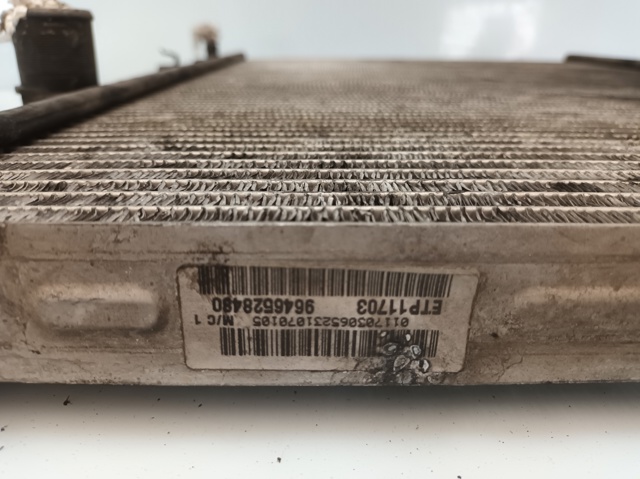 9646528480 Peugeot/Citroen