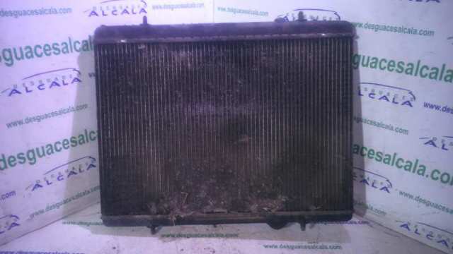 9646528480 Peugeot/Citroen