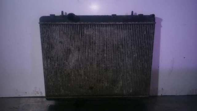 9646528480 Peugeot/Citroen