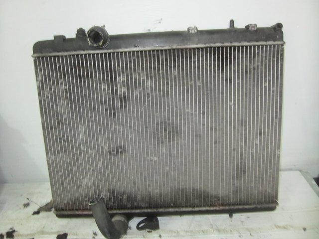 9646528480 Peugeot/Citroen