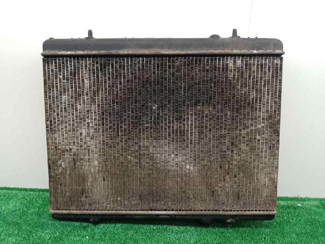 9646528480 Peugeot/Citroen