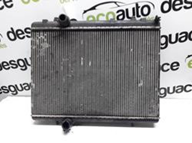 9646528480 Peugeot/Citroen