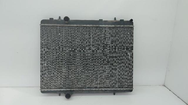 9646528480 Peugeot/Citroen