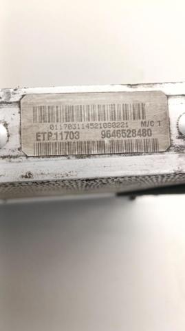 9646528480 Peugeot/Citroen