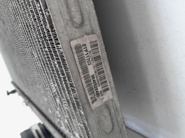 9646528480 Peugeot/Citroen