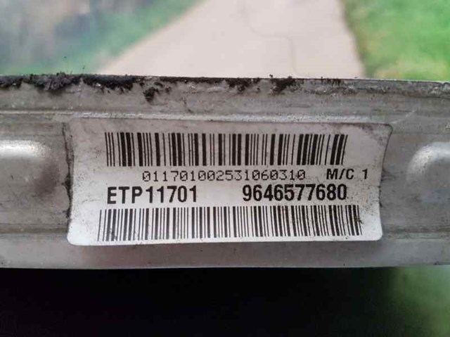 9646577680 Peugeot/Citroen