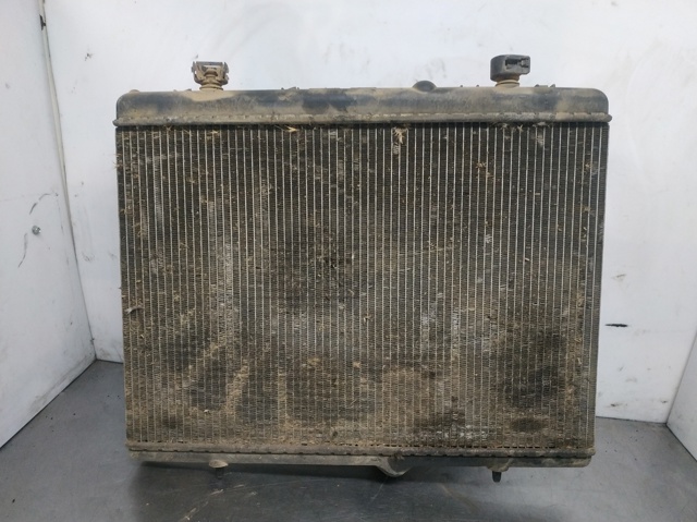 9646577680 Peugeot/Citroen