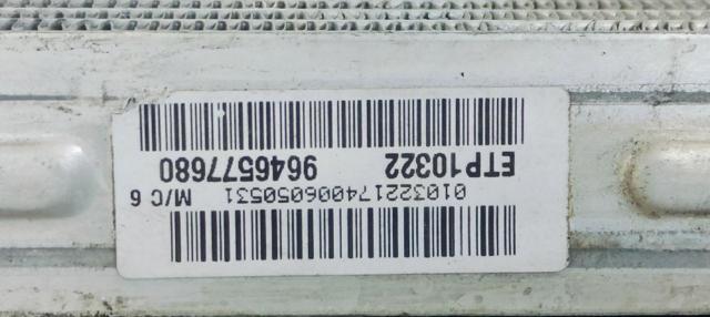 9646577680 Peugeot/Citroen