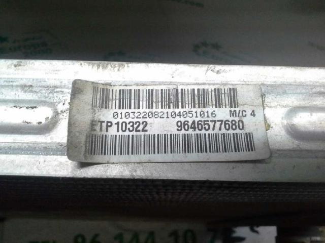 9646577680 Peugeot/Citroen