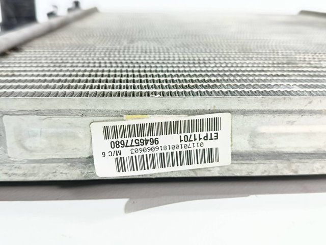 9646577680 Peugeot/Citroen