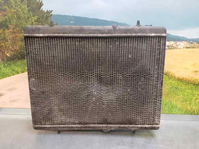 9646577680 Peugeot/Citroen