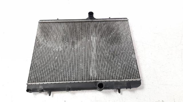 9646577680 Peugeot/Citroen