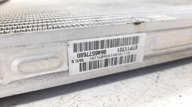 9646577680 Peugeot/Citroen