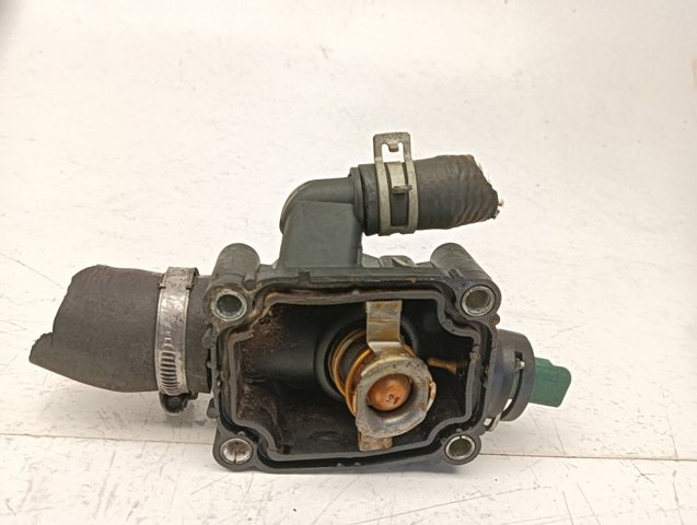 9647265980 Peugeot/Citroen