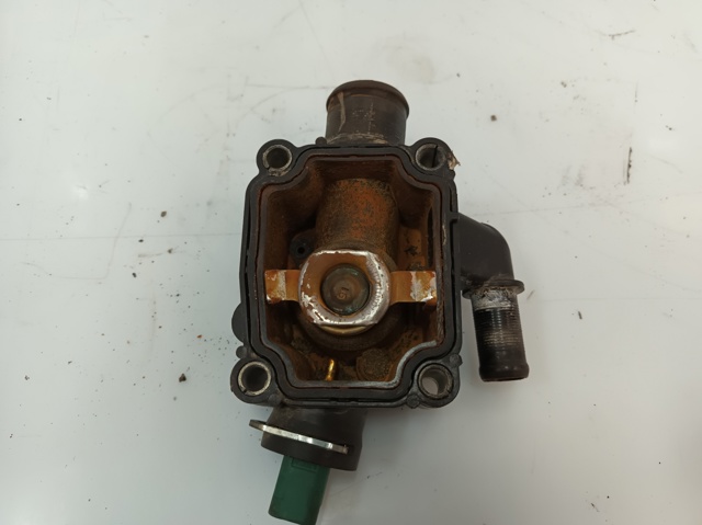 9647265980 Peugeot/Citroen