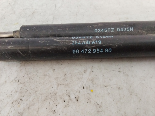 9647295480 Peugeot/Citroen