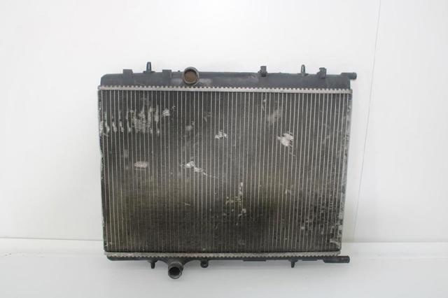 9647421380 Peugeot/Citroen
