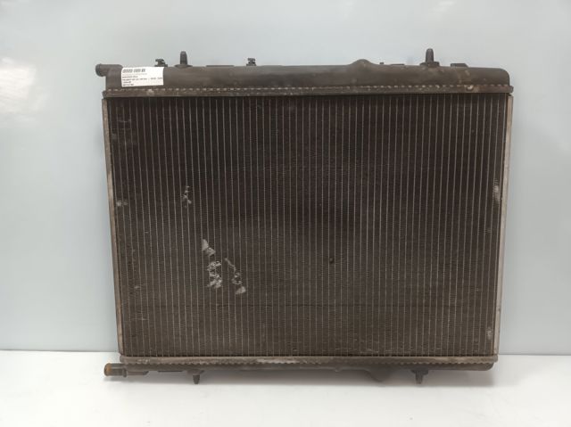 9647421380 Peugeot/Citroen