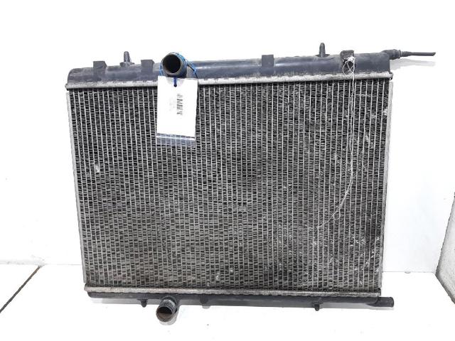 9647421380 Peugeot/Citroen