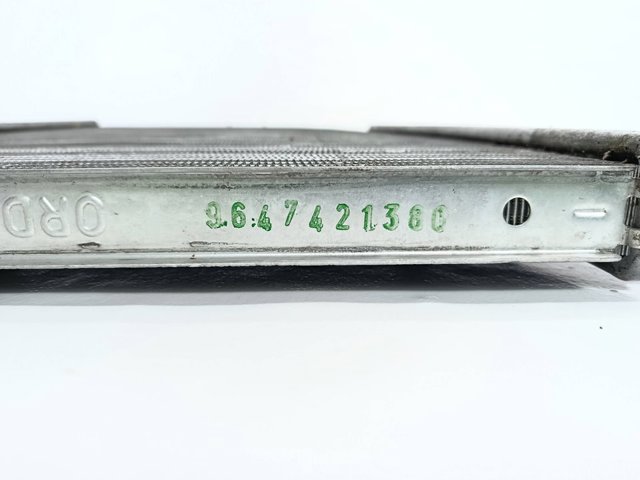 9647421380 Peugeot/Citroen