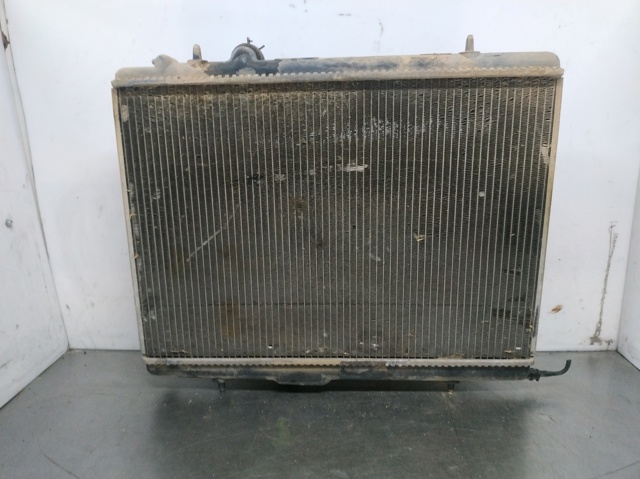 9647510780 Peugeot/Citroen