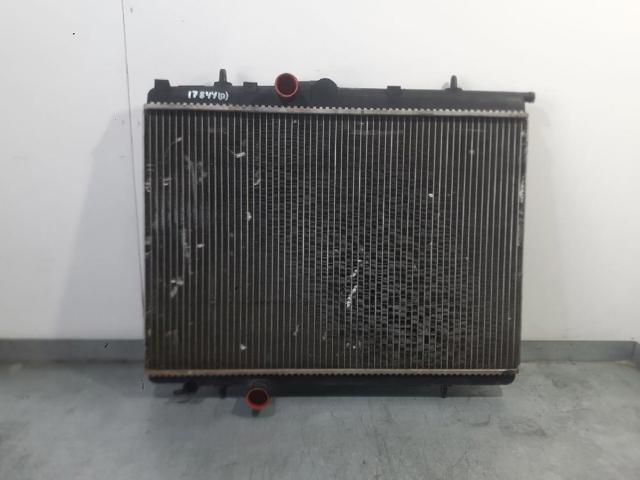 9647510780 Peugeot/Citroen
