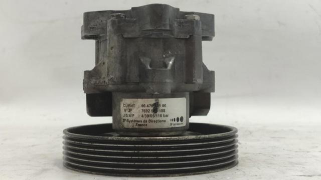 9647983580 Peugeot/Citroen