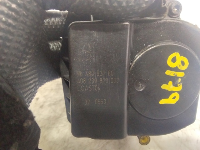 9648053780 Peugeot/Citroen