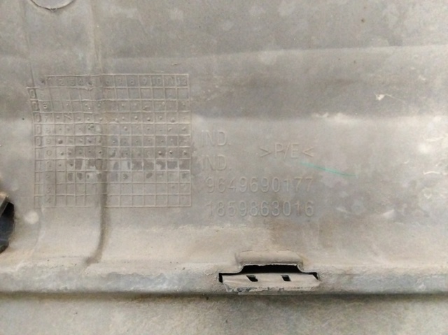 9649690177 Peugeot/Citroen