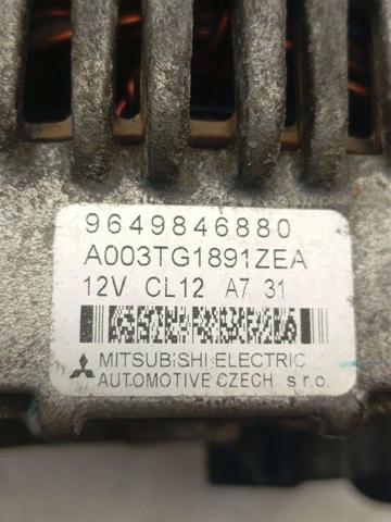 9649846880 Peugeot/Citroen