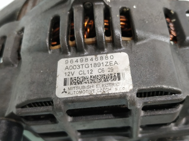 9649846880 Peugeot/Citroen