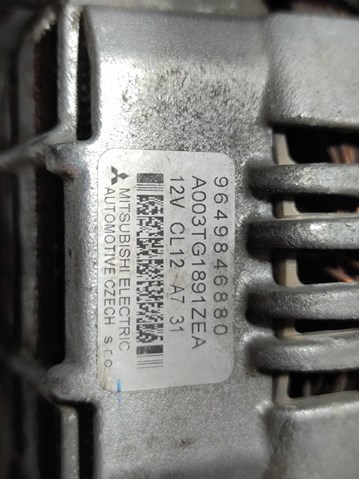 9649846880 Peugeot/Citroen