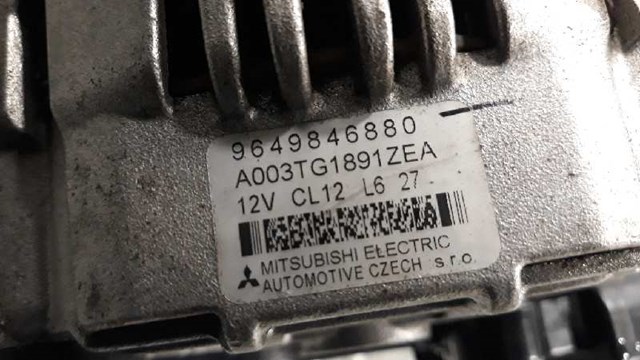 9649846880 Peugeot/Citroen