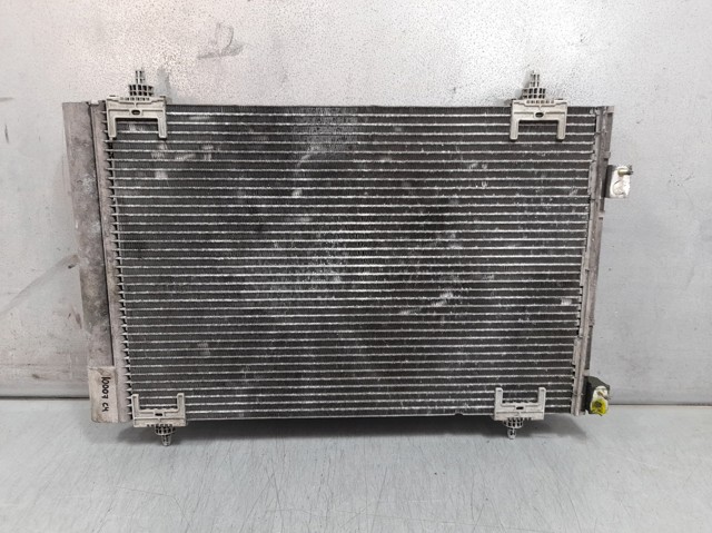 9650545480 Peugeot/Citroen