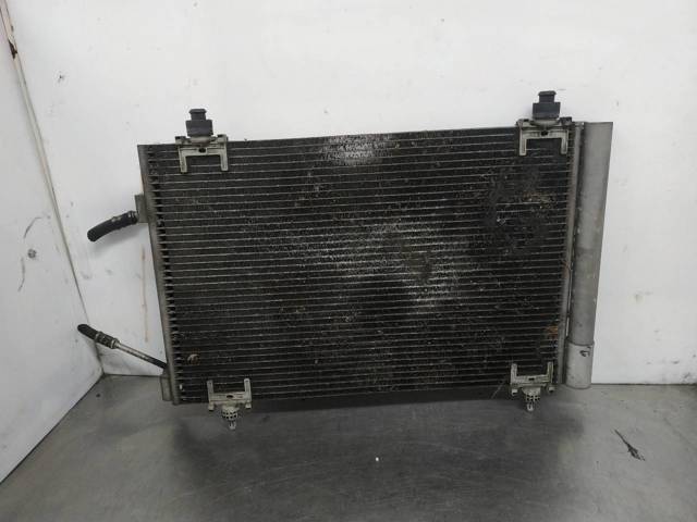 9650545480 Peugeot/Citroen