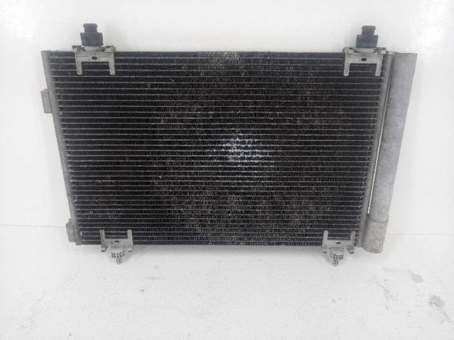 9650545480 Peugeot/Citroen