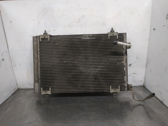 9650545480 Peugeot/Citroen