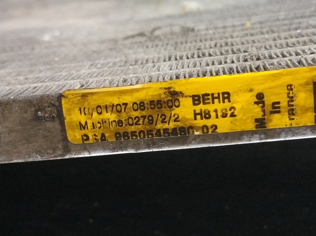 9650545480 Peugeot/Citroen