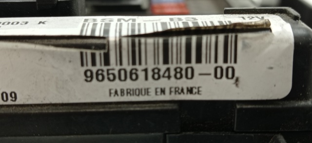 9650618480 Peugeot/Citroen