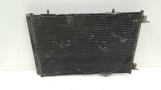 9650894080 Peugeot/Citroen